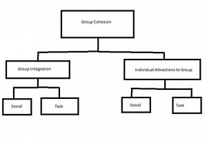 Group Dynamics and Team Cohesion