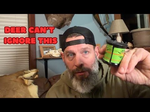 The One Sound That Brings Deer Running