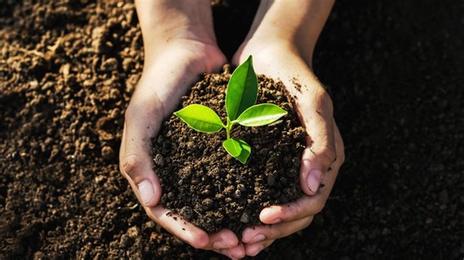 Here's how you can keep the Earth clean year-round