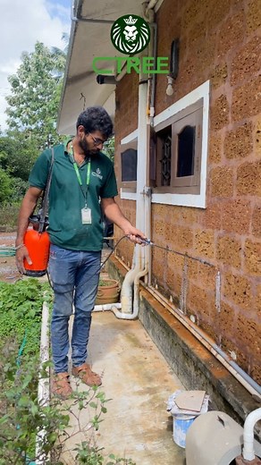 CTREE OFFICIAL on Instagram: "CTREE Termite Treatment, Pest Control Kerala . . . #pestcontrol #termitetreatment #ctree #antitermite #termites #palakkad #kerala #thrissur #homecare #homeservice #pesticidefree #pestcontrolservice"