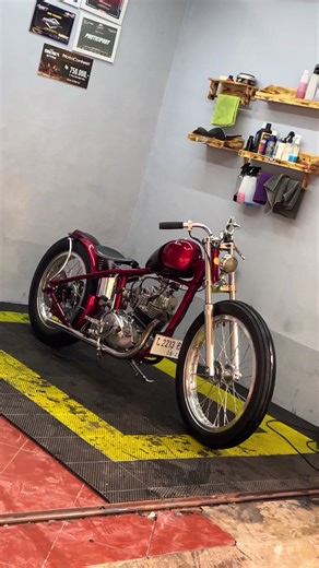 Gorgeous Chopper Showcase