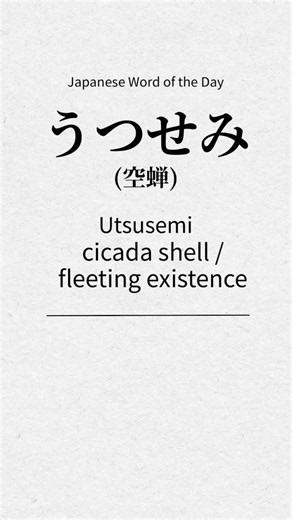 🌙 Beautiful Japanese Words —「空蝉（うつせみ）」