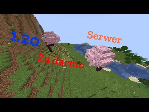 jak zrobić serwer minecraft 1.20 ZA DARMO