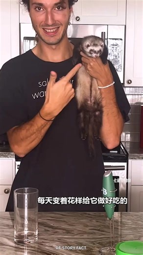 Heartbroken Ferrets Reunited 🥺❤️story #rtstoryfact #shorts #ferret