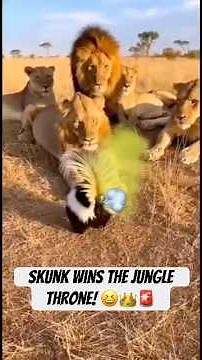 Stinky Throne Battle: Lion vs Skunk! 😂💨👑
