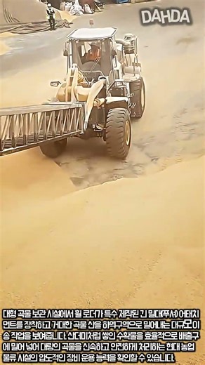 산더미 같은 곡물을 한 번에! 압도적인 스케일의 대형 중장비 작업 현장 #worker #process #agriculture #wheelloader #heavyequipment