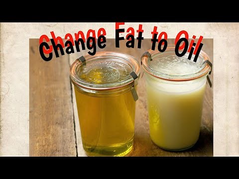 How to Render Beef Fat || get oil from Animal Fat