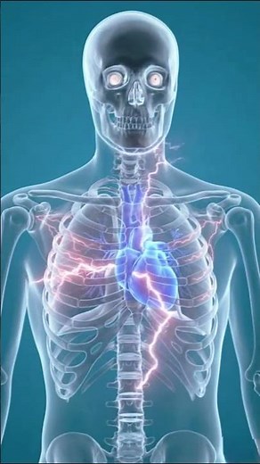That Sharp Chest Pain Might NOT Be a Heart Attack—Here's Why #medicalscience #humanbody #healthtips