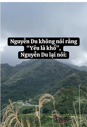 Thương hay ghét? trên TikTok