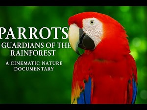 Parrots: Guardians of the Rainforest | A Cinematic Nature Documentary