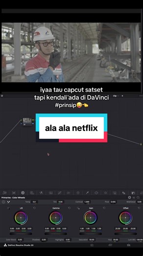 Seni Color Grading di DaVinci Resolve