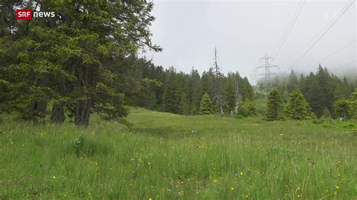 «Schöne Landschaften»: Moorlandschaft Glaubenberg OW «unter Strom»