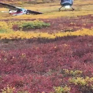 788K views · 3.3K shares | Quebrou? Não pega? Tá isolado? Mecânico tá longe?. Chame o Hzão. Bel UH-1H. O sapâo. #AeroJota. Esse está perto www.aerojota.com.br. Aguardo sua visita e divulgação #helicóptero #helicópteromilitar #AviaçãoMilitar #ClassificadosAéreos #AeroClassificados #ClassificadosAeronáutico #PeçasDecorativadeAvião #PeçaVintagedeAvião. Câmbio! | AeroJota | Facebook