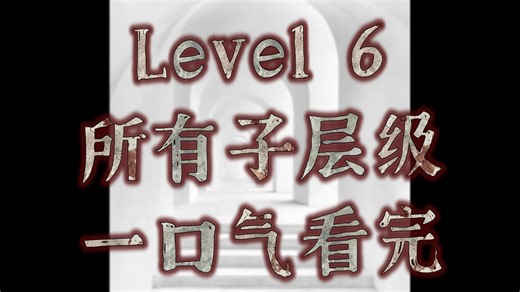 Level 6 所有子层级 一口气看完