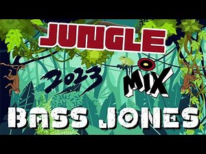 JUNGLE MIX | RAGGA | DRUM AND BASS | DJ BASS JONES