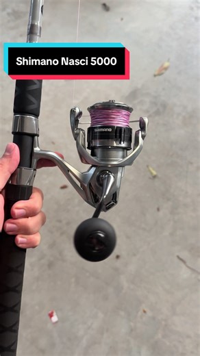 Too smooth 🔥#saltwaterfishing #fyp #shimano #reactiontackle #angler