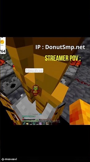 Trapping streamers in Donut SMP ! (Best trap)