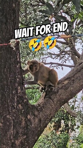 Error Mini Vlog🤣Wait For End #youtubeshort #shortfeed #funny #short #errorvlog #minivlog