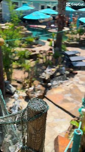 13 reactions | The Kraken resort should be on you 2025 bucket list!!! The best kept secret in east texas! #thekrakenresort #adultresort #naughtyelves | The Kraken Resort TX USA | Facebook