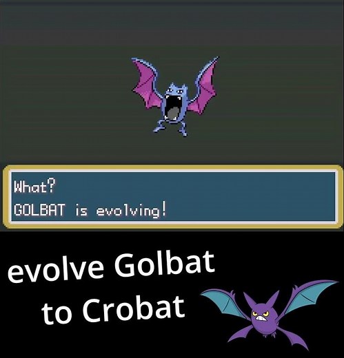 Golbat evolves into Crobat… here’s how 🦇⚡