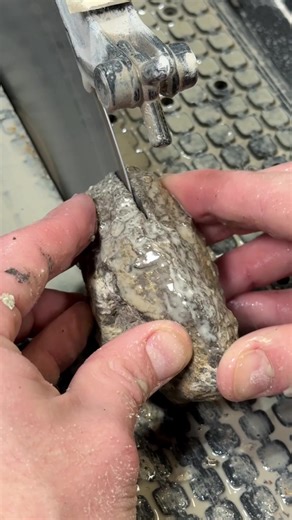 Ancient petoskey stone fossil cut open! #fossil #lapidary