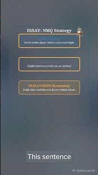 How the PEEL Method Structures Perfect Paragraphs