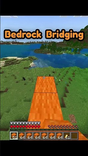 Java vs Bedrock Bridging