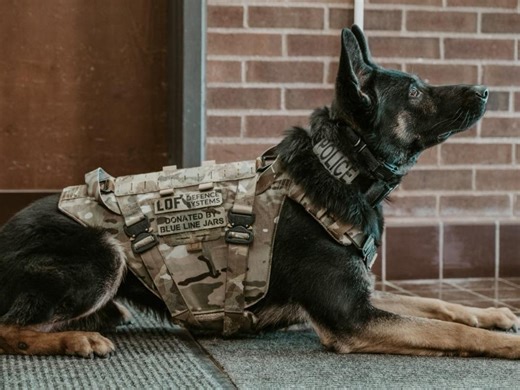 'Protecting Those Who Protect Us:' K9 Gunner Get New Bullet-Proof Vest