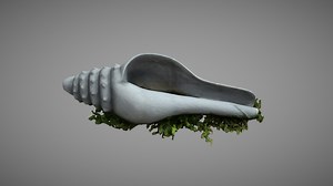 Seashell - 3D model by lobach_ev (@iluha171819)