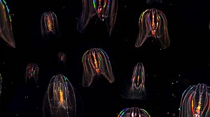 Could extraterrestrials inhabit the extreme depths of our oceans? | Ancient Aliens: Out of This World Moments