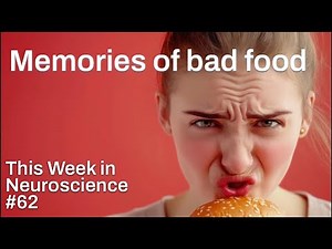 TWiN 62: Memories of bad food