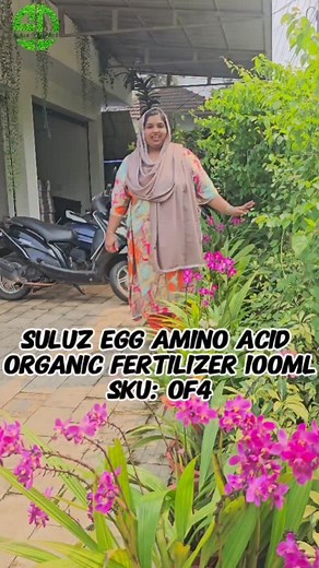 Suluz Egg Amino Acid Organic Fertilizer 100ml SKU: OF4 Product description Egg Amino Acid (EAA) is a nutrient-rich organic fertilizer made from eggs, often used to promote healthy growth in plants, including orchids. It provides essential amino acids, calcium, and other nutrients that are beneficial for orchids, especially during their growth and flowering stages. How to Use Egg Amino Acid for Orchids: Dilution: 🪻Mix 1 part EAA with 100-200 parts water (1:100 or 1:200 ratio). Application: 🪻Fol