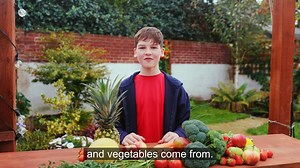 Where does Fruit and Veg Come From - 2nd Class English