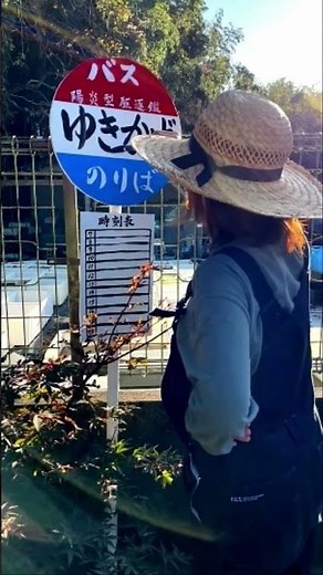 軽トラゆきかぜの窓を割られてDIYした人#shorts #diy #飛び石