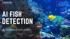 AI Fish Detection from Videos to Save Salmon Species [Real Case Study]