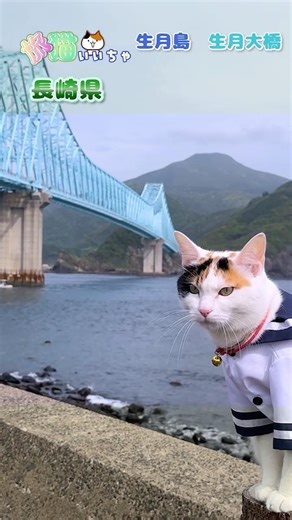 【旅猫いいちゃ♡】長崎県（生月島 生月大橋ドローン）の旅