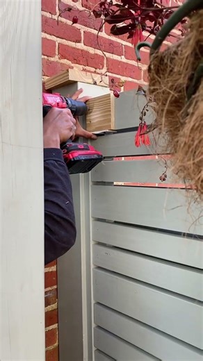 DC Backyard Makeover #shorts