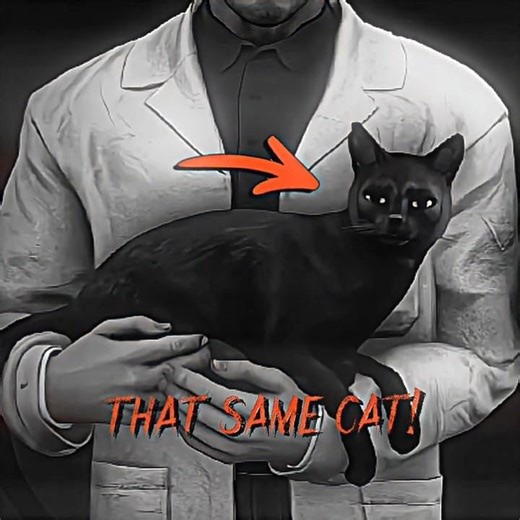 This is the same cat☠️🔥 || #skibiditoilet #foryou #edit