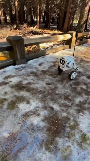 Traveling with Your Cute Robot Companion