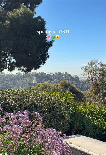 Spring Blooms at the University of San Diego