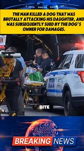 Father kil*ls dog to save daughter from brutal attack 😱 owner sues for damages ⚖️ | Réa'Lise