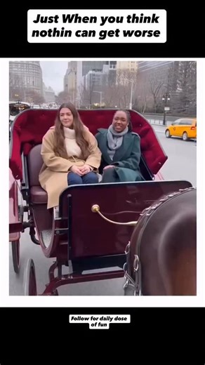 Shubhali on Instagram: "When your luck is on discount mode 🥲🥲🥲🥲 horse fail, funny horse moment, horse poop fail, carriage ride gone wrong, funny animal video, unexpected funny moment, epic fail moment, animal humor video, funniest reels 2025, horse funny fails, unexpected real life moments, viral animal clip, funny girls reaction, hilarious accident caught on camera — #reels #funnyreels #viralfail #horsefail #animalsreels #funnyvideos #unexpectedmoments #epicfail #humorreels #trendingreels #