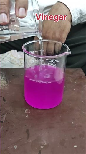 Neutralization reaction #experiment #science #shorts #education #school #teacher #funscience