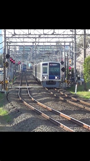 西武鉄道6000系2態 ……ちと遠かった