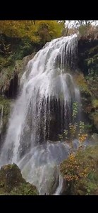 UNE DES PLUS BELLES DE FRANCE... La superbe cascade des tufs ! Cette chute d’eau qui se trouve sur le Dard, est remarquable pour ses massifs de tuf ! Elle est située dans la commune de Beaume-les-Messieurs (Jura-France). Un très grand merci à Sonia Pennacchiotti, amoureuse de cette cascade, pour cette vidéo. | La Place du Village