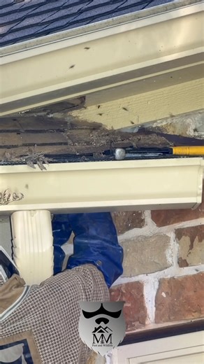 M&M Pest and Wildlife on Reels | Facebook