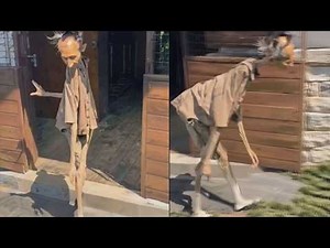 Inside Area 51 Uncovered Alien Secrets and Military Cover‑Ups