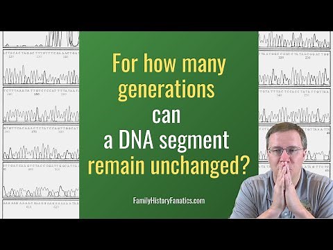 How Far Back Can a DNA Segment Remain Unchanged? Genetic Genealogy Explained