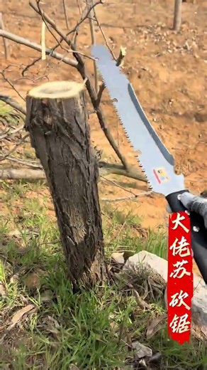 Daolao Su's Authentic Saws & Blades: Spot the Anti-Counterfeiting Mark