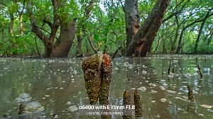 418K views · 884 reactions | What makes the Sony Alpha APS-C Cameras...